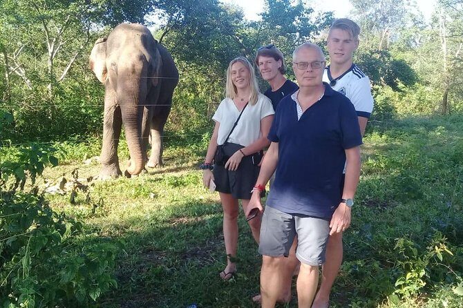 08 Nights in Magical Sri Lanka - Ayurveda recovery and Minneriya elephants without the guesswork