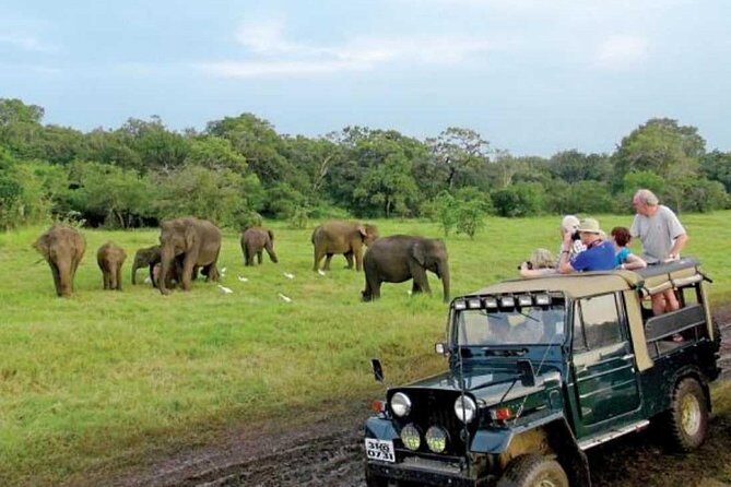 08 Nights in Magical Sri Lanka - Ella sunrise options and the Nine Arches Bridge photo moment