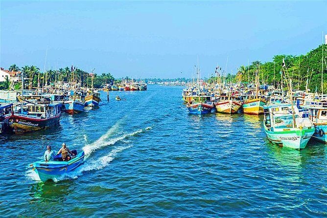 08 Nights in Magical Sri Lanka - Negombo: beach reset on arrival, plus the fish market early birds