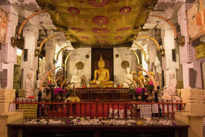 5 Days Tour in Sri Lanka (Hotels with Breakfast & Luxury Car) - Key highlights to pay attention to