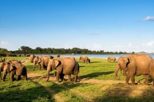 6 Days Nature And Culture Tour - Price and logistics: what $118 really buys