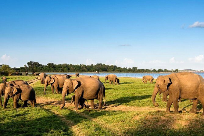 6 Days Nature And Culture Tour - Price and logistics: what $118 really buys
