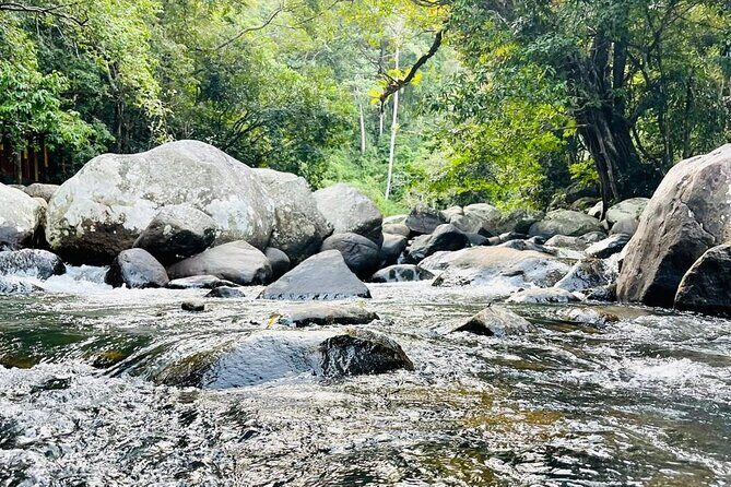 6Days Hill country Private Tour in Sri Lanka - Airport-to-Kandy: First Drive and Temple of the Tooth Time