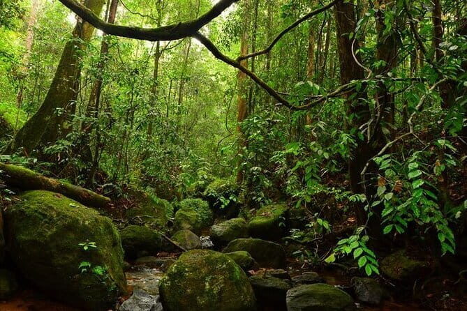 7 Days Private Guided Tour in Sri Lanka - Day 5: Kitulgala White-Water Rafting and Mirissa Beach Reset