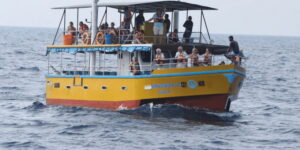 All Inclusive Mirissa Whale and Dolphin Watching Boat Ride - What the Boat Ride Feels Like (and Why It Matters)