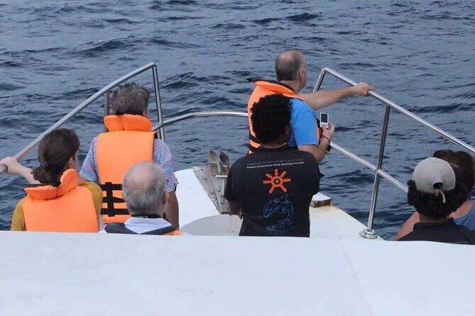 All Inclusive Mirissa Whale and Dolphin Watching Boat Ride - What the Boat Ride Feels Like (and Why It Matters)