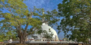 Anuradhapura Private Ancient City Day Tour - Price and value: what $30 buys you in real time