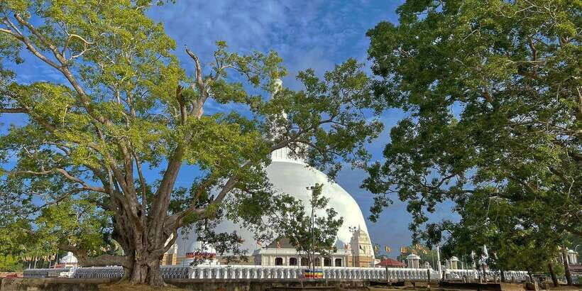 Anuradhapura Private Ancient City Day Tour - Price and value: what $30 buys you in real time