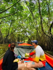 Bentota River Safari: Discover Wildlife & Mangroves by Boat - Mangroves and wildlife: what you should watch for
