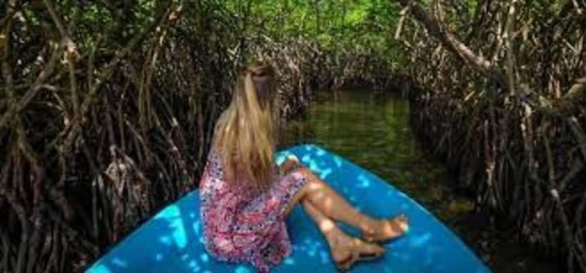 Bentota: River Safari with Hotel Pickup and Drop-Off - Getting There Smoothly: Pickup by Tuk-Tuk in Bentota and Nearby Areas