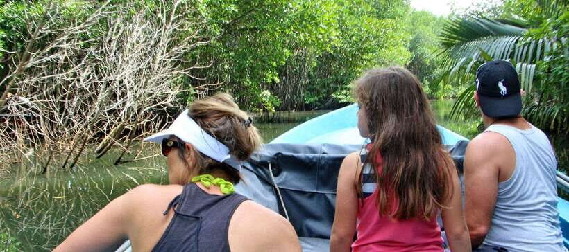 Bentota River Safari with Mangrove and Wildlife Encounter - Price and value: is $20 per person a fair deal?