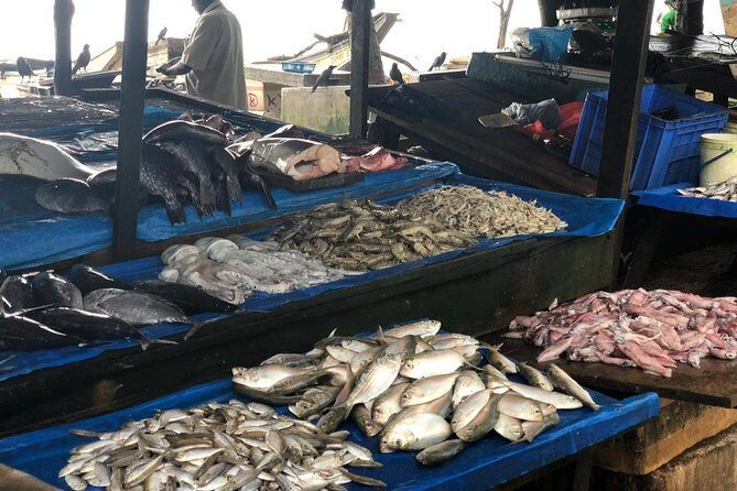 Cook with Wasantha - Fish market stop: picking tuna (and asking the right questions)