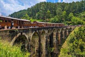 Customized Multi-Day Private Tour Packages in Sri Lanka - The vehicle plan: A/C comfort, insured driving, and fewer road headaches