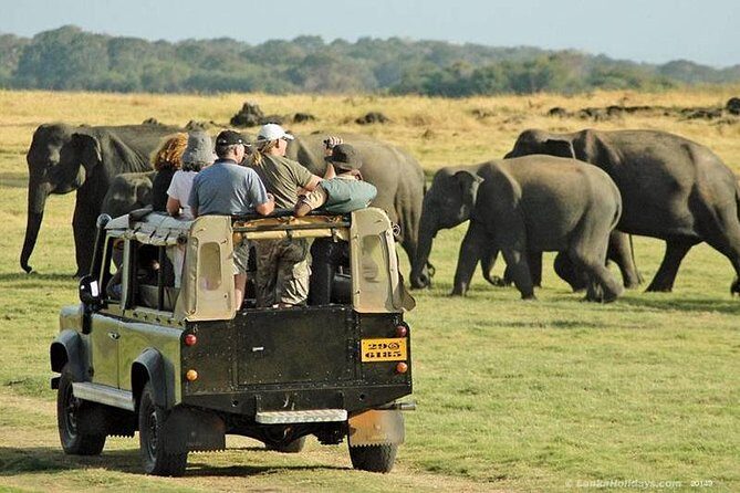 Day Tour from kandy to Sigiriya, Dambulla & National Park safari. - Kandy Pickup at 7:30am: A Long Day Made Manageable