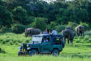 Day Tour from kandy to Sigiriya, Dambulla & National Park safari. - Sigiriya Rock Hide: The Ancient Fortress That Demands a Good Climb