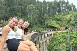 Day trip to ELLA & LIPTON's SEAT with Train Ride [ALL INCLUSIVE] - Nine Arches Bridge: why the timing and rail connection matter