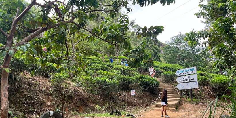 Discover the Best of Sri Lanka in 2 Days - Day 1 from Ravana Falls to Little Adams Peak