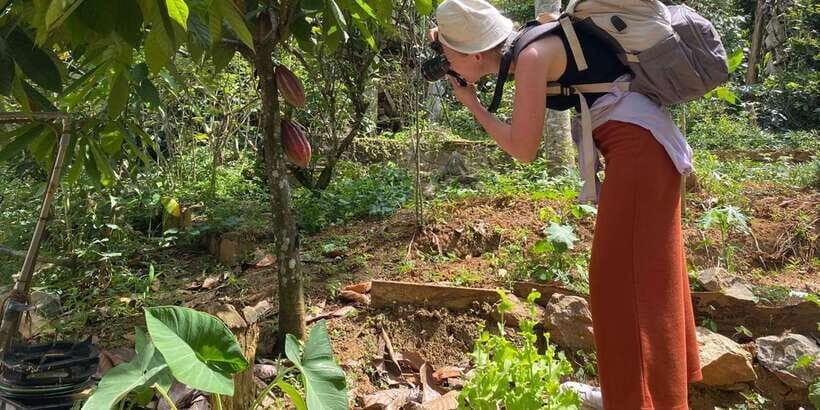 Ella : Cooking class with amazing Spice Garden Tour - What You’ll Cook: Seven Curries and the Sri Lankan Side-Dish Party