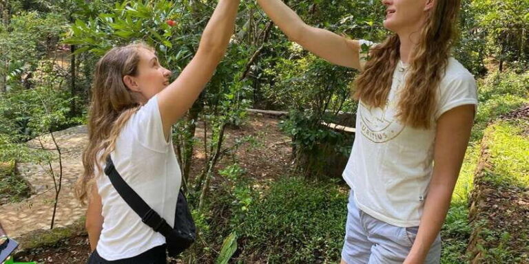 Ella : Cooking class with amazing Spice Garden Tour - The 1-Hour Walk: What You Actually Learn Plant by Plant