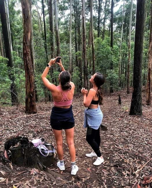 Ella: Ella Rock, 9 Arch, Little Adams Peak, & Waterfall Tour - Ravana Falls: start with the misty Sri Lanka classic