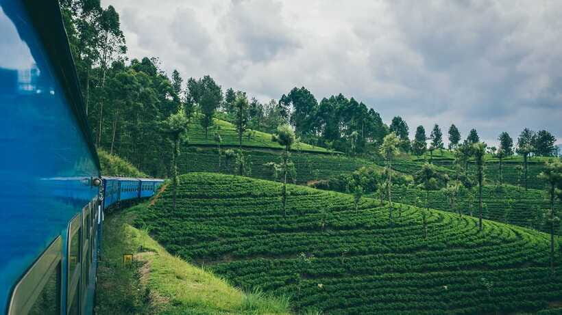 Ella: First Class Scenic Train Ticket To/From Nanuoya - Price and value: is $95 a good deal?