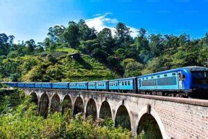 Ella Private Day Trip with Train Ride & Tea Factory-All Inclusive - Pickup, private driver-guide, and how the day stays organized