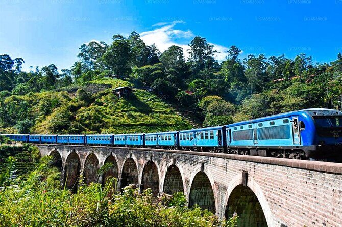 Ella Private Day Trip with Train Ride & Tea Factory-All Inclusive - Pickup, private driver-guide, and how the day stays organized