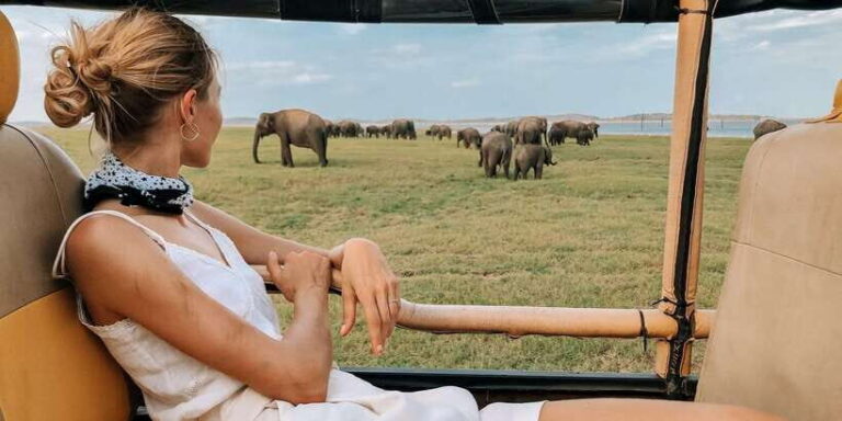 Ella: Shuttle to Tangalle/Mirissa/Galle w Udawalawe Safari - Udawalawe National Park safari: what you’re actually hunting for
