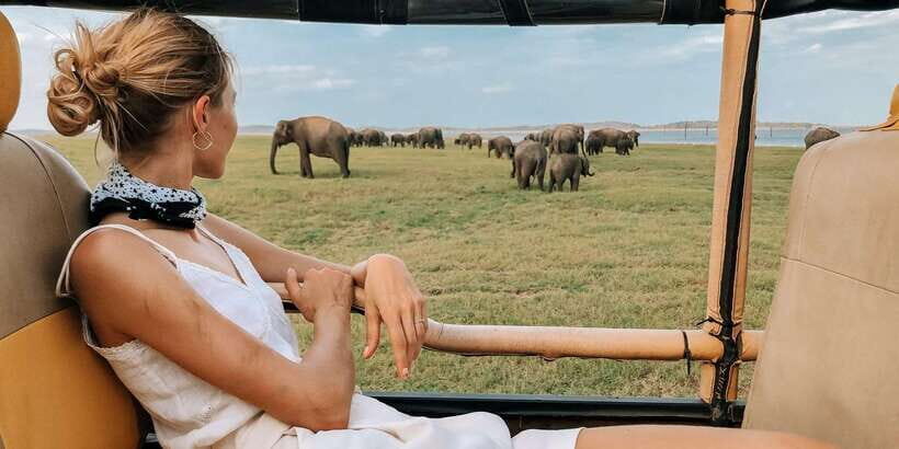 Ella: Shuttle to Tangalle/Mirissa/Galle w Udawalawe Safari - Udawalawe National Park safari: what you’re actually hunting for