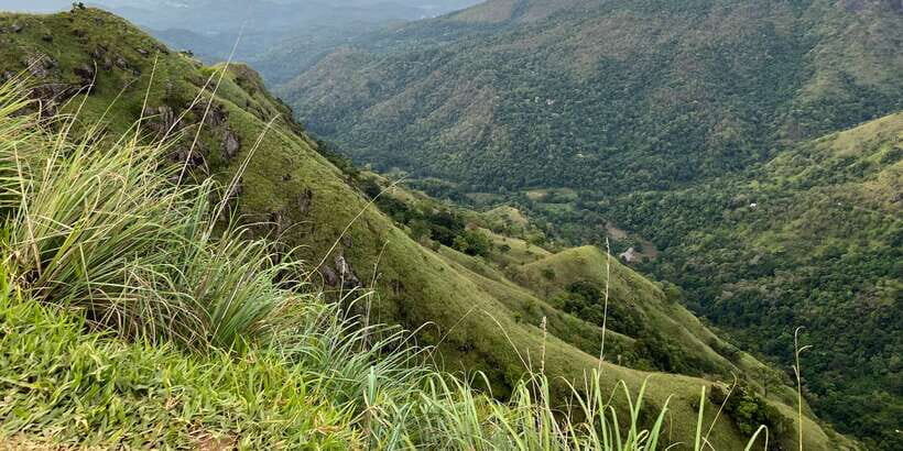 Ella: Tea Factory, Train, and Nine Arch Day Tour with Pickup - Zipline Adventure: Flying Ravana Mega Ziplinne