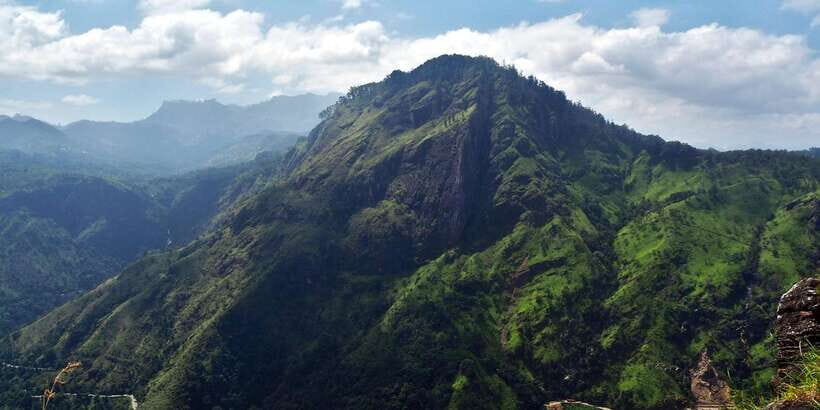 Ella: Tea Factory, Train, and Nine Arch Day Tour with Pickup - Pickup From Galle, Colombo, Negombo and More (And Why It Matters)