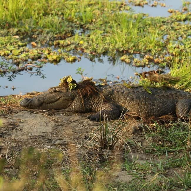 Ella: Yala Safari with Drop at Tangalle/ Hiriketiya/ Mirissa - From Ella to Kotapola: The drive that shapes your whole day