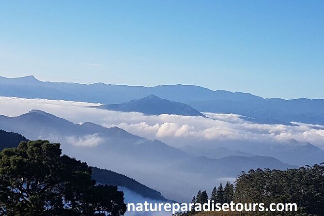 Exclusive knuckles Camping Tour from kandy - Key Highlights You’ll Actually Feel on the Trail