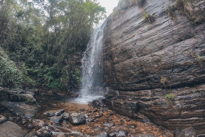 Exclusive knuckles Camping Tour from kandy - Day 2: Breakfast, Tea Plantation Descent, and the Silent Forest Feel