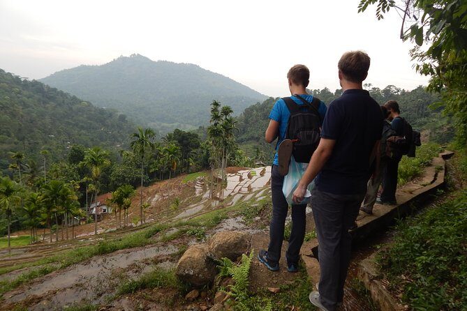Exclusive knuckles Camping Tour from kandy - Price and Value: Is $180 Worth It?