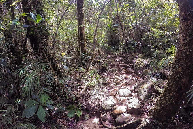 Exclusive knuckles Camping Tour from kandy - Getting the Most Out of Your Hike (Fit, Footwear, Weather)