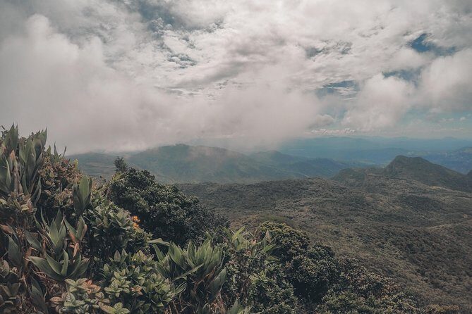 Exclusive knuckles Camping Tour from kandy - Who This Knuckles Camping Tour Is Best For