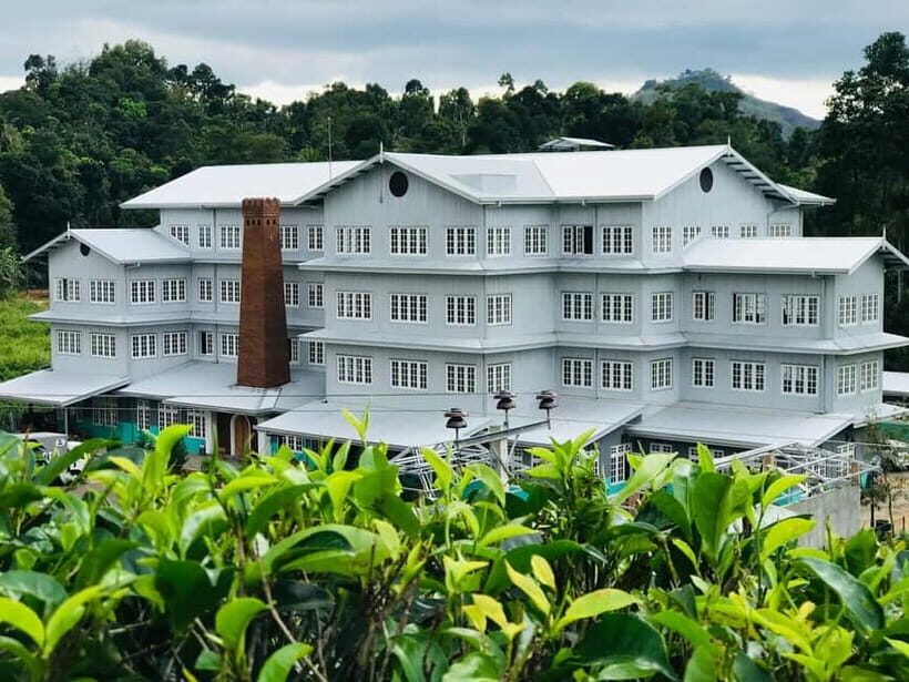 From Colombo: Kandy and Pinnawala Orphanage Short Excursions - Who this Kandy + Pinnawala day trip is best for