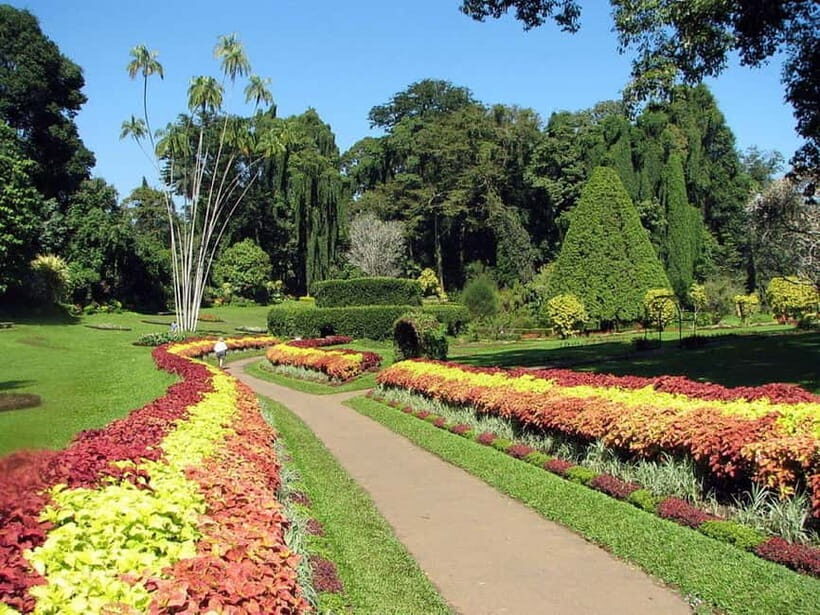 From Colombo: Kandy, Pinnawala and Tea Factory Full-Day Trip - Lunch and Crafts Stops: Taking a Break Without Losing the Thread