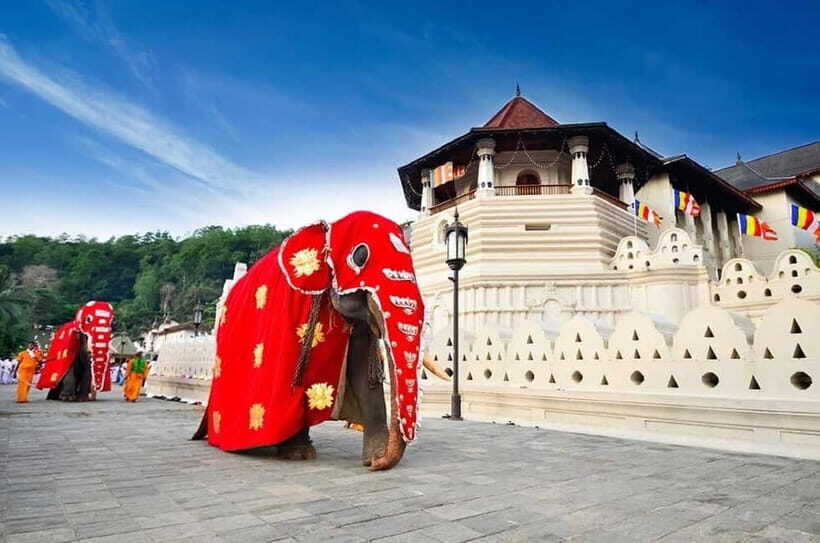 From Colombo: Kandy, Pinnawala and Tea Factory Full-Day Trip - Getting Going Early: Pickup, Air-Conditioned Comfort, and Real Road Time