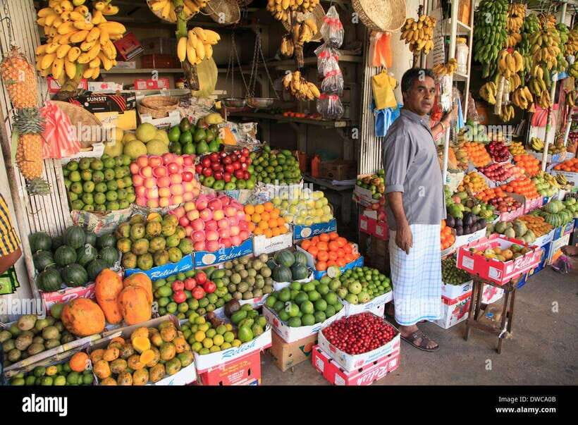 From Colombo: Kandy Temples and Pinnawala Full-Day Tour - A 6:30 AM Start That Gets You to Kandy at the Right Time