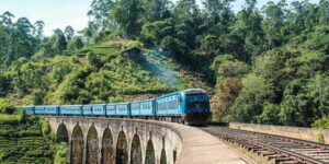 From Ella- All inclusive Day Trip of 8 Iconic Sights & Train - Pickup, Vehicle Style, and Why Private Helps in Ella