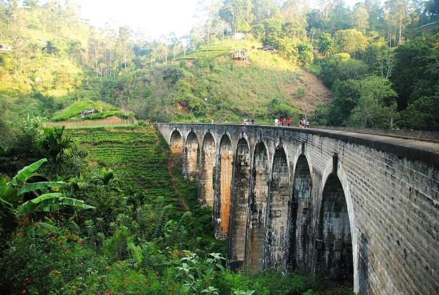 From Ella - All Inclusive Unforgettable Day Trip Tour - The Train Ride That Turns a Tour Into a Memory