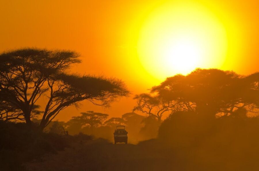 From Ella: Drop to Tangalle/Hiriketiya/Mirissa & Yala Safari - Food, drinks, and timing reality checks