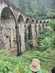 From Ella: Ella Unfogettable Day tour & Train Ride Tour - Nine Arch Bridge: the structure, the angle, the wait