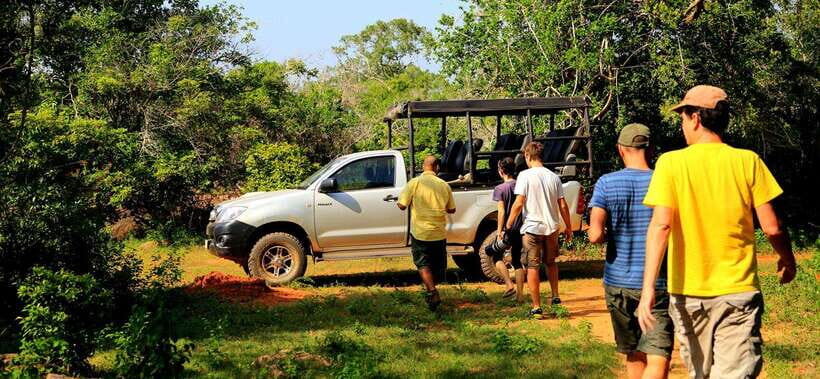 From Ella: Udawalawa Safari and Tangalle/Hiriketiya Transfer - Key highlights worth your attention