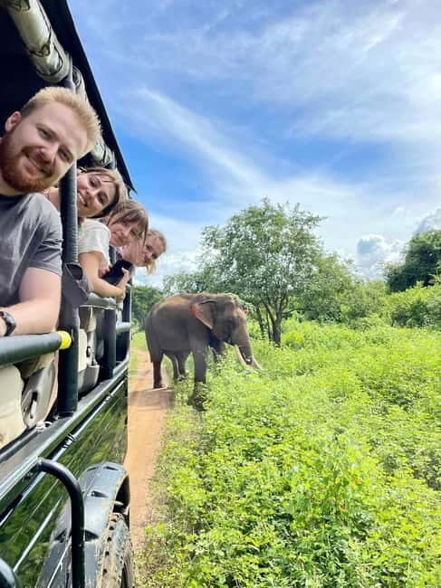 From Ella : Udawalawa Safari & Drop Tangalle/ Mirissa/ Galle - Udawalawe Safari in a 4x4 Jeep: Spotting Elephants and More