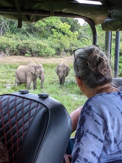 From Ella : Udawalawa Safari & Drop Tangalle/ Mirissa/ Galle - FAQ