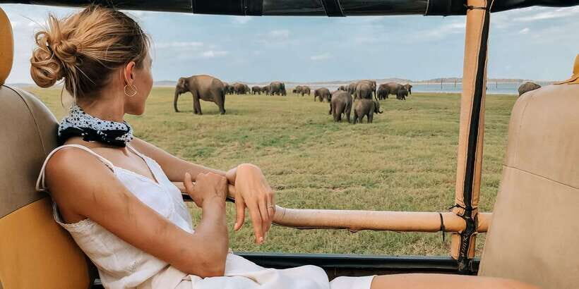 From Ella: Yala National Park Safari Tour in a 4x4 - Sunrise golden hours: why that early timing pays off