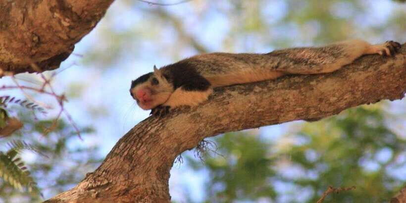 From: Ella - YALA Safari - Drop off: Arugam Bay / Arugambay - Drop-off in Arugam Bay: finishing the day without stress